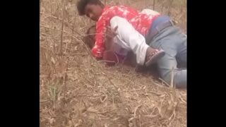 Forest Sex Videos Indian