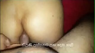 Sri Lanka Sex Vedios