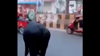 Tarak Mehta Babita Sexy Video