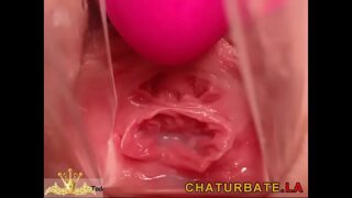 Vagina Closeup
