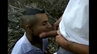 X Videos Gay India