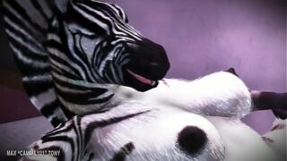 Zebra Sex Com