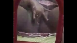 Ankita Lokhande Sexy Video