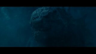 Download Godzilla Vs Kong