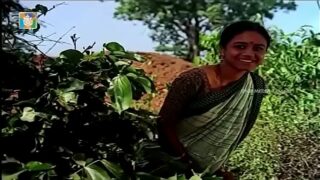 Kannada Kannada Sex Video