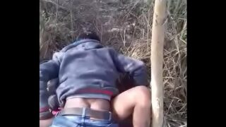 Porn Video In Jungle