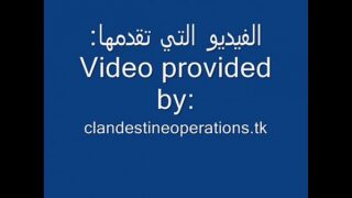 YEMEN TOURS