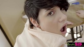 Pussy incest between sister cat and gifted brother