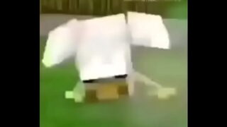 Healthy grass